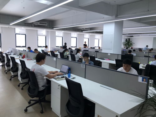 聚焦石家莊電子信息產業 神玥軟件數字化發展迎來黃金期